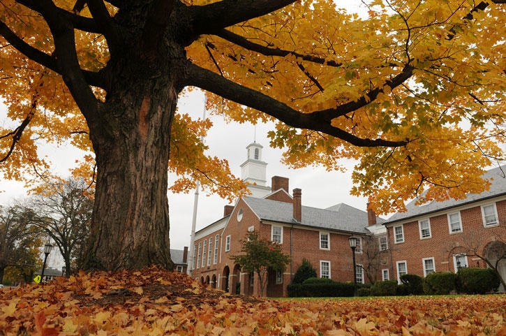 Fairfax in the Fall